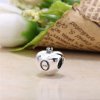 Club Charm 2015, Pandora club 2015 silver charm