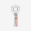 Charm Pendente Pandora Amor Completo - 788693C01