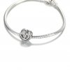Charm Corações Entrelaçados Brilhantes - 799270C01