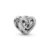 Charm Corações Entrelaçados Brilhantes - 799270C01