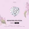 Charm Monstera Deliciosa estilo Pandora - BSC141