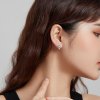 Brincos Petit Raposa adorável estilo Pandora - SCE1084