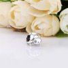 Charm Tartaruga - 797878CZ