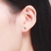 Brincos Petit Ursa Maior estilo Pandora - SCE166