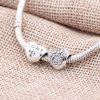 Conta PANDORA I Love My Pet - 791713CZ