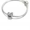 Charm Coração Aberto E Rosas - 799281C01