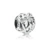 Charm berloques PANDORA Libélula - 797025CZ