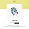 Charm Cacto life Pandora - BSC261