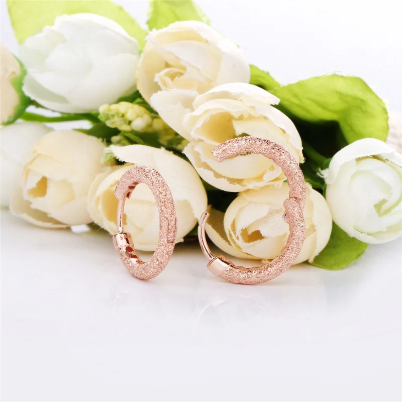 (imagem para) Brinco Argolas Brilho fosco Pandora Rosa - 287930 - Visualizar 4