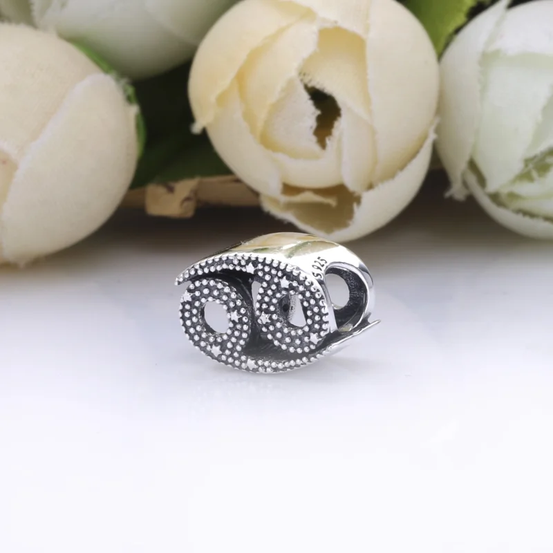 (imagem para) Charm Signo De Cancêr - 798434C01 - Visualizar 2