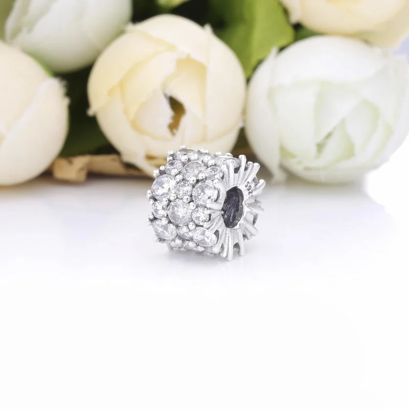 (imagem para) Conta Brilhante Pandora - 798487C01 - Visualizar 4