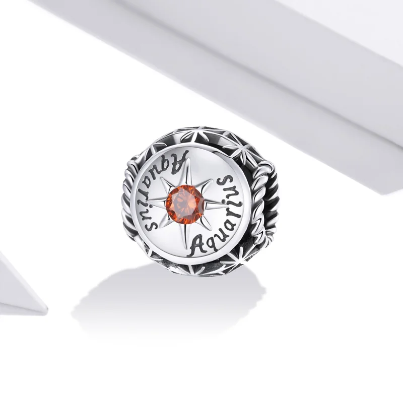 (imagem para) Charm Aquário Brilhante estilo Pandora - SCC1725-11 - Visualizar 2