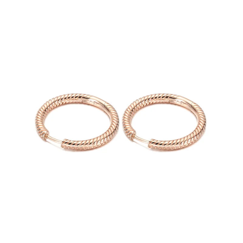 (imagem para) Brincos Argola com Charm Pandora Moments - 289532C00 - Visualizar 3