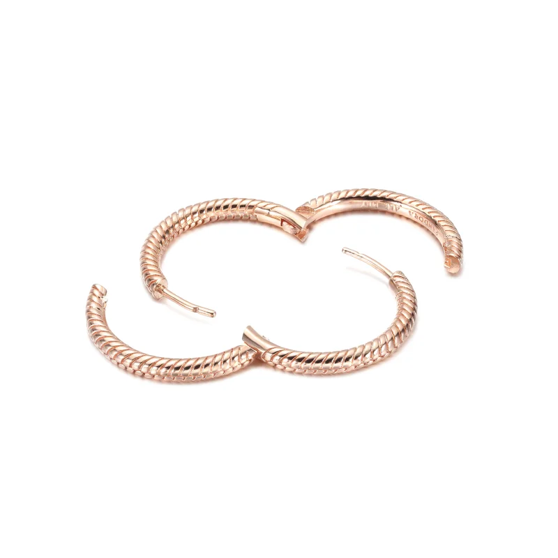 (imagem para) Brincos Argola com Charm Pandora Moments - 289532C00 - Visualizar 4