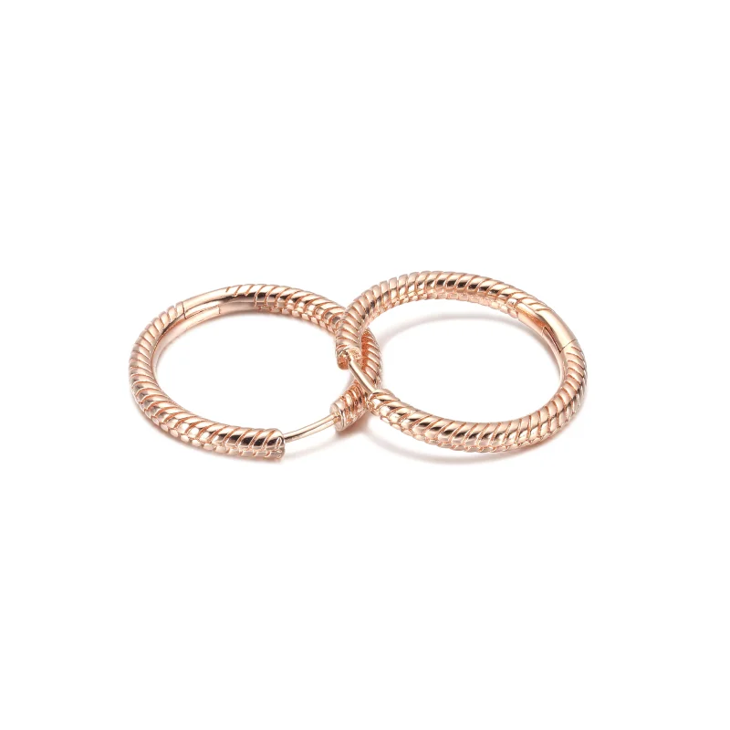 (imagem para) Brincos Argola com Charm Pandora Moments - 289532C00 - Visualizar 5