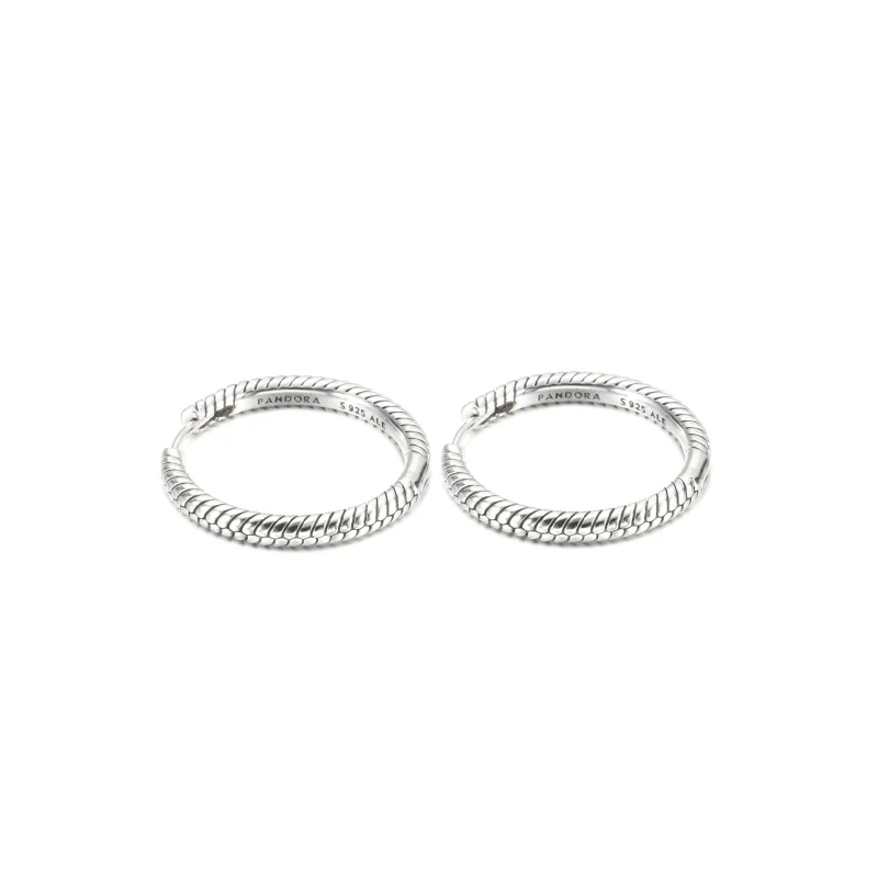 (imagem para) Brincos Argola com Charm Pandora Moments - 299532C00 - Visualizar 2