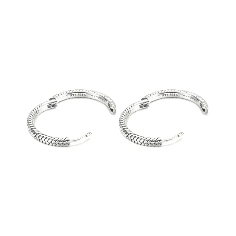 (imagem para) Brincos Argola com Charm Pandora Moments - 299532C00 - Visualizar 3