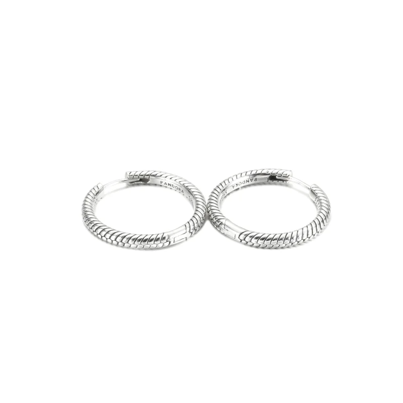 (imagem para) Brincos Argola com Charm Pandora Moments - 299532C00 - Visualizar 4