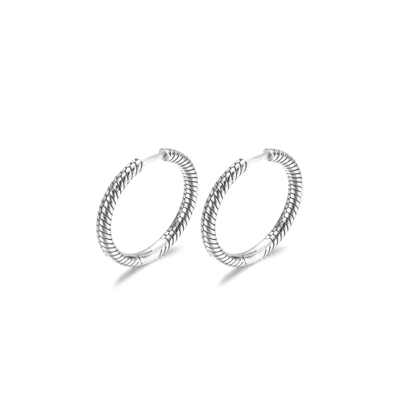 (imagem para) Brincos Argola com Charm Pandora Moments - 299532C00 - Visualizar 5
