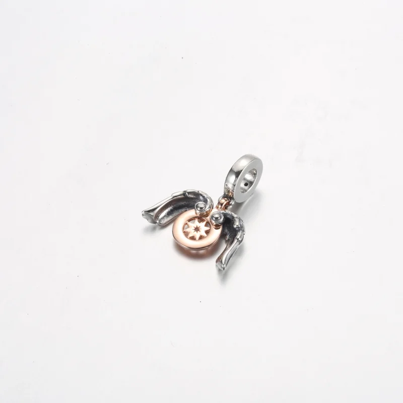(imagem para) PANDORA Charm de Pingente Bússola Celeste com Asas de Anjo - 782359C01 - Visualizar 9