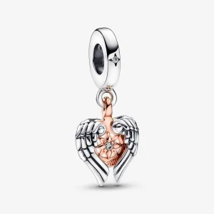 (imagem para) PANDORA Charm de Pingente Bússola Celeste com Asas de Anjo - 782359C01