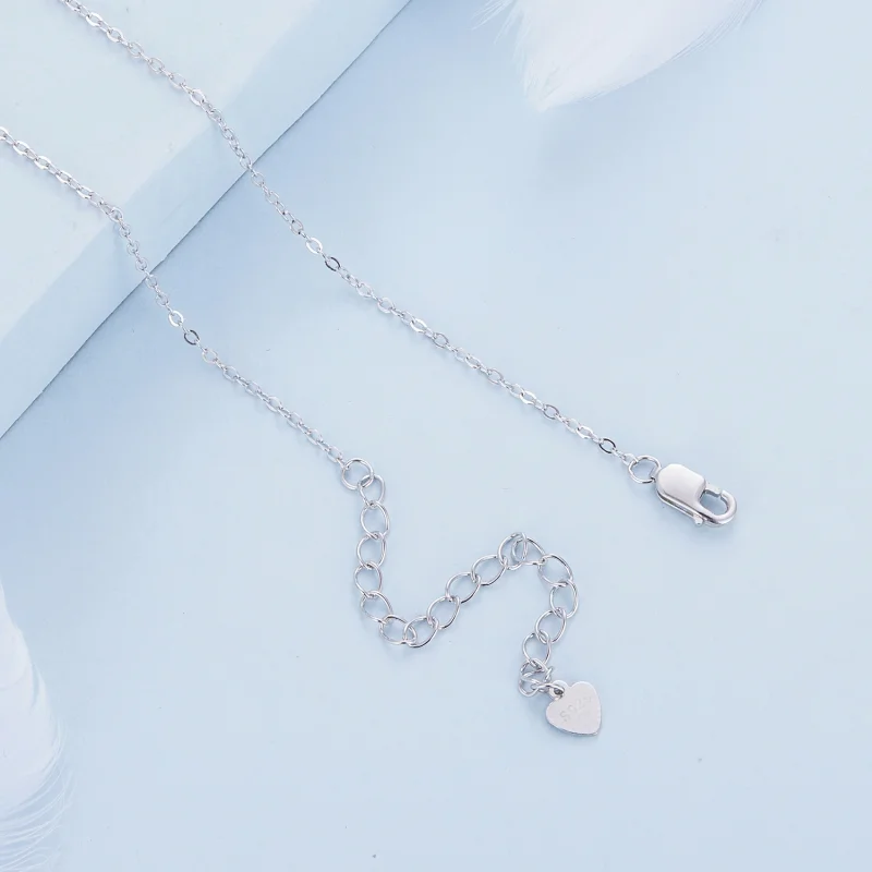 (imagem para) Colar Familiar em Círculo Estilo Pandora - BSN315 - Visualizar 5