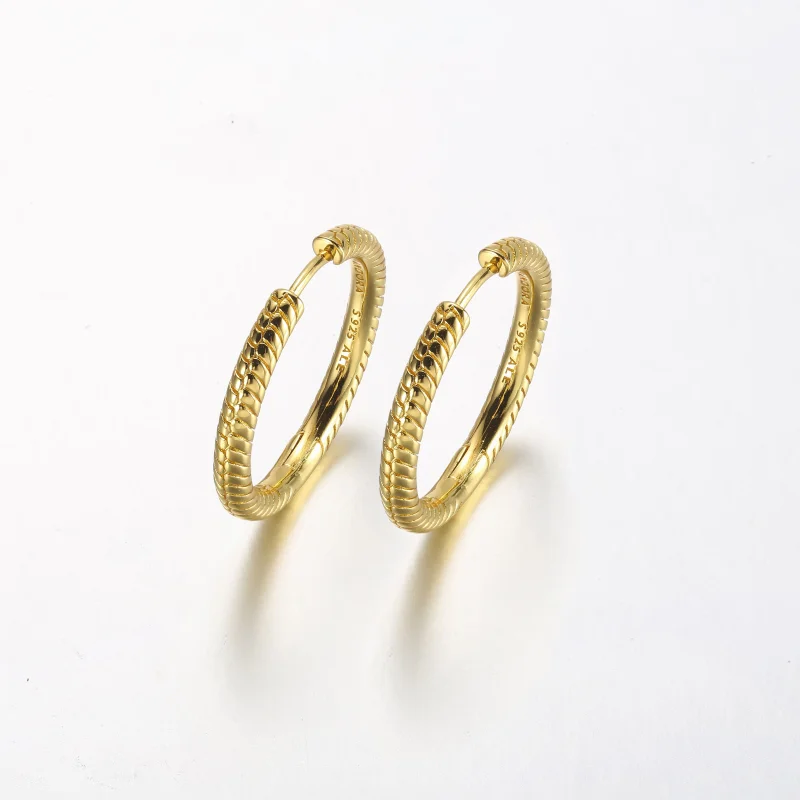 (imagem para) Brincos Argola com Charm Pandora Moments - 269532C00 - Visualizar 2