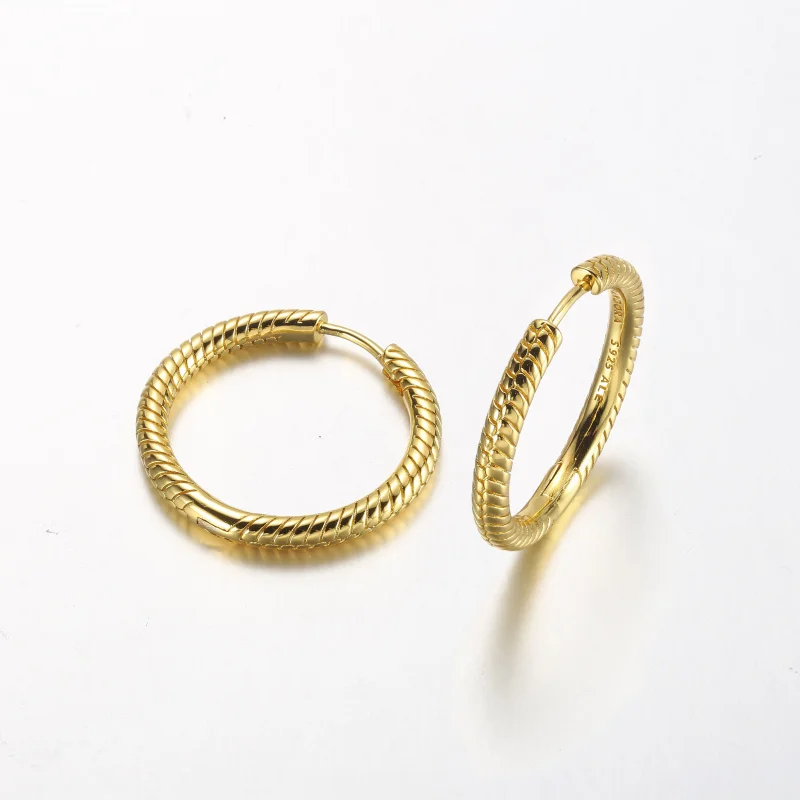 (imagem para) Brincos Argola com Charm Pandora Moments - 269532C00 - Visualizar 3