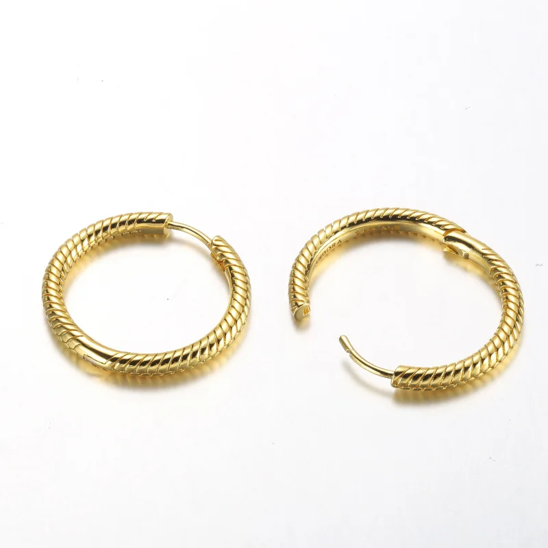 (imagem para) Brincos Argola com Charm Pandora Moments - 269532C00 - Visualizar 4