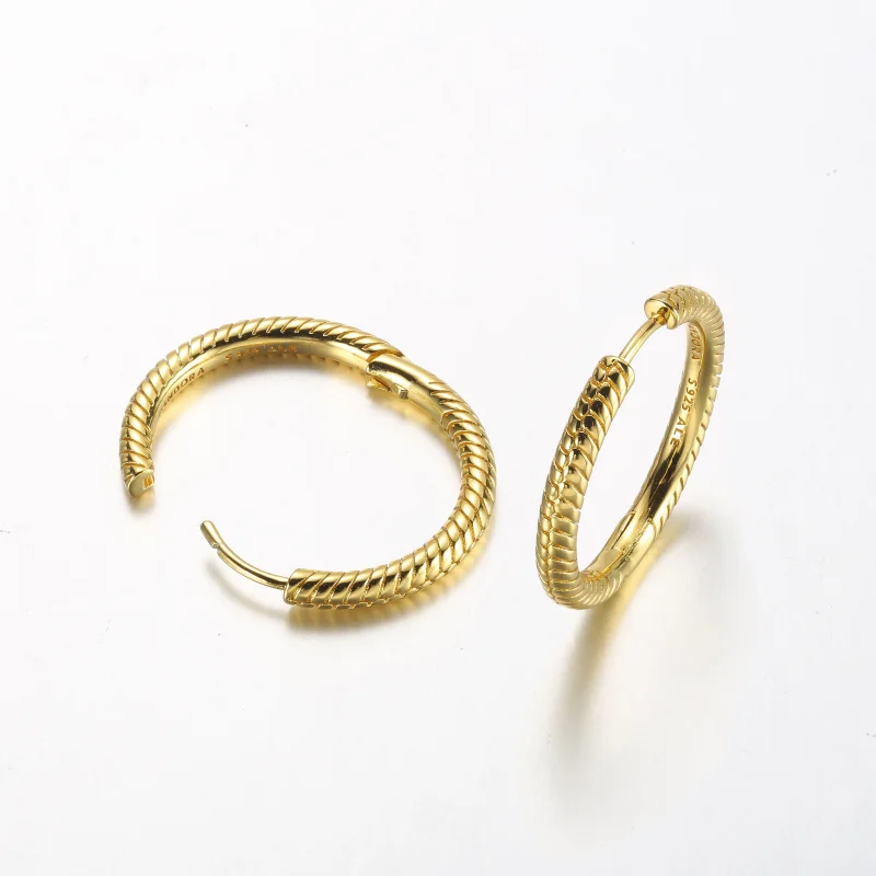 (imagem para) Brincos Argola com Charm Pandora Moments - 269532C00 - Visualizar 5