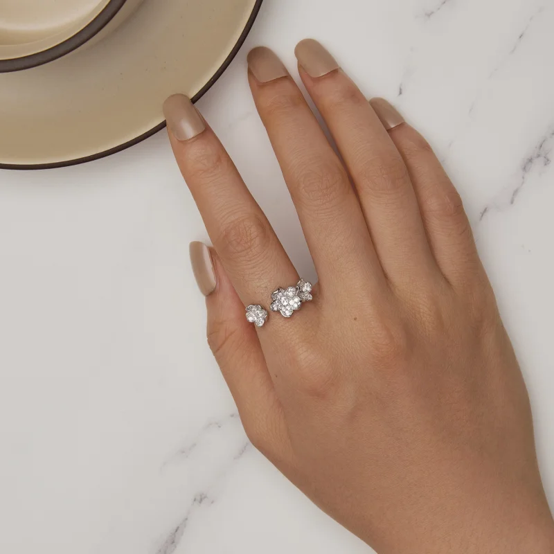 (imagem para) Anel Aberto Estilo Pandora Repleto de Flores - BSR447 - Visualizar 5