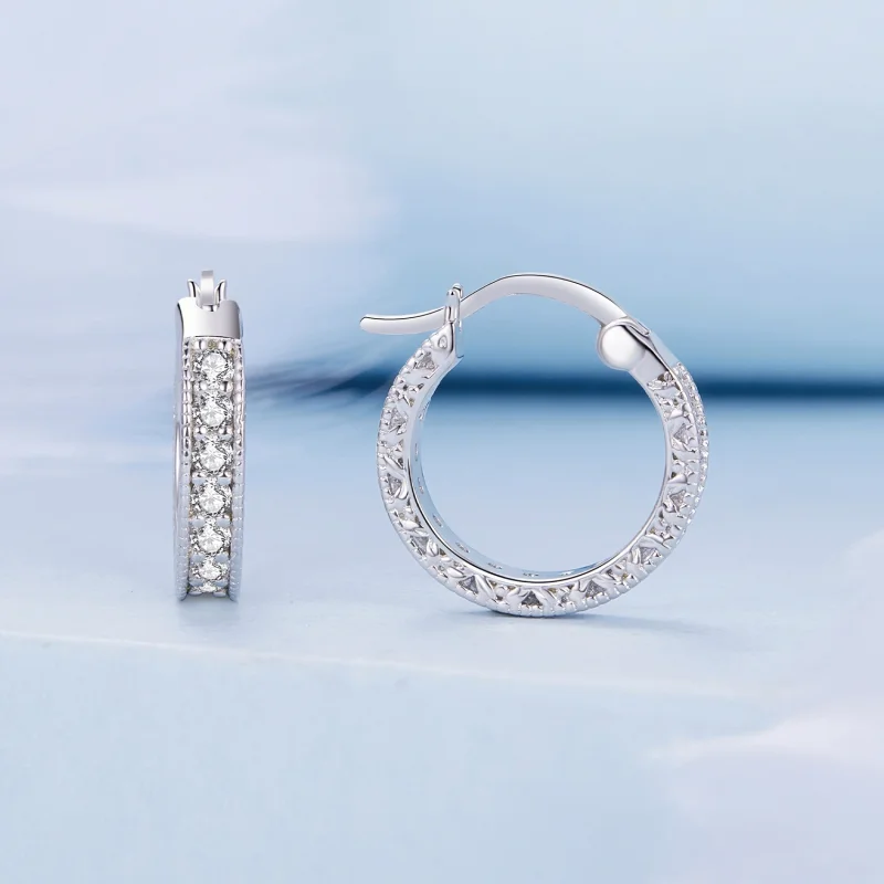 (imagem para) Brincos Argola Brilho Estilo Pandora - BSE868 - Visualizar 2