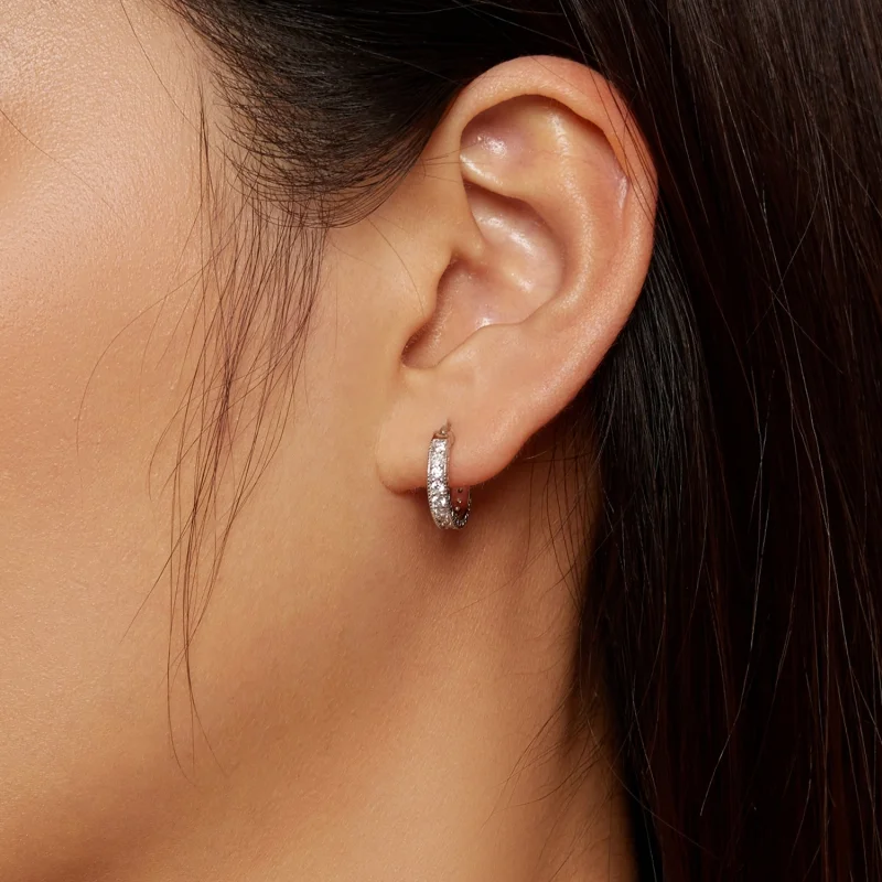 (imagem para) Brincos Argola Brilho Estilo Pandora - BSE868 - Visualizar 5