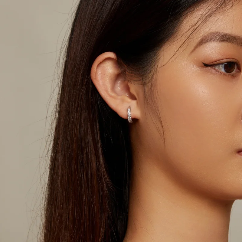 (imagem para) Brincos Argola Brilho Estilo Pandora - BSE868 - Visualizar 7