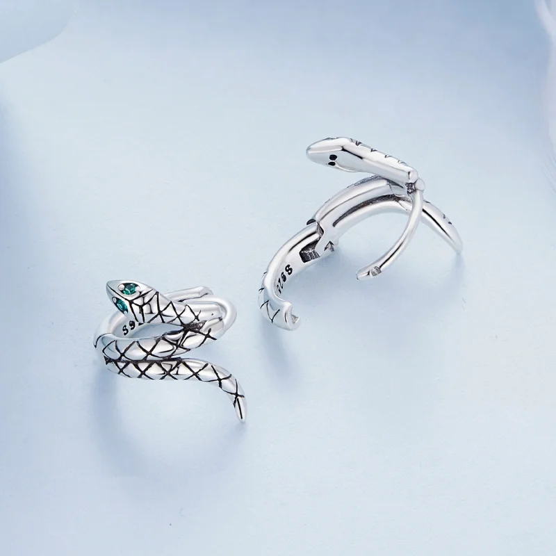 (imagem para) Brincos Argola Estilo Pandora Cobra - BSE883 - Visualizar 4