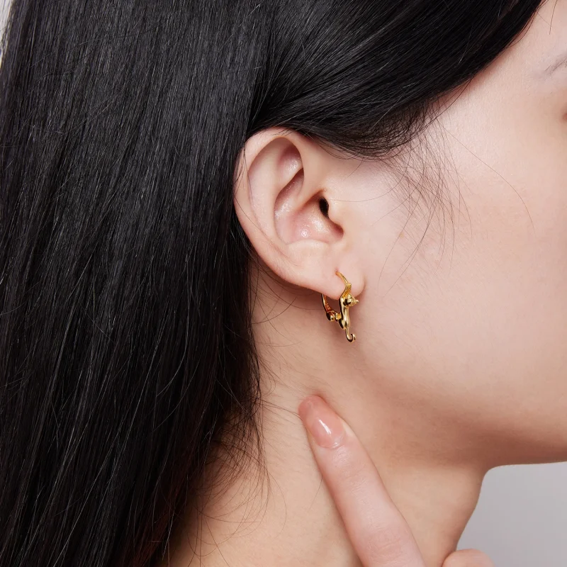 (imagem para) Brincos Argola Estilo Pandora com Gato - SCE1488-LB - Visualizar 5