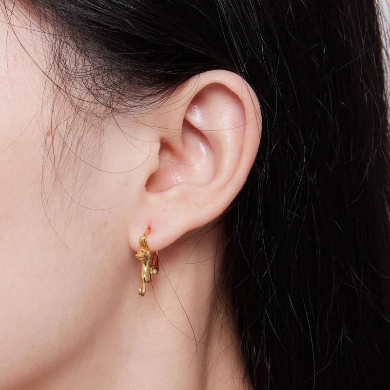 (imagem para) Brincos Argola Estilo Pandora com Gato - SCE1488-LB - Visualizar 7