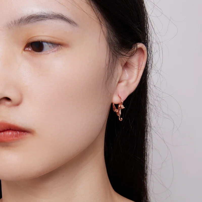 (imagem para) Brincos Argola Estilo Pandora com Gato - SCE1488-LC - Visualizar 6