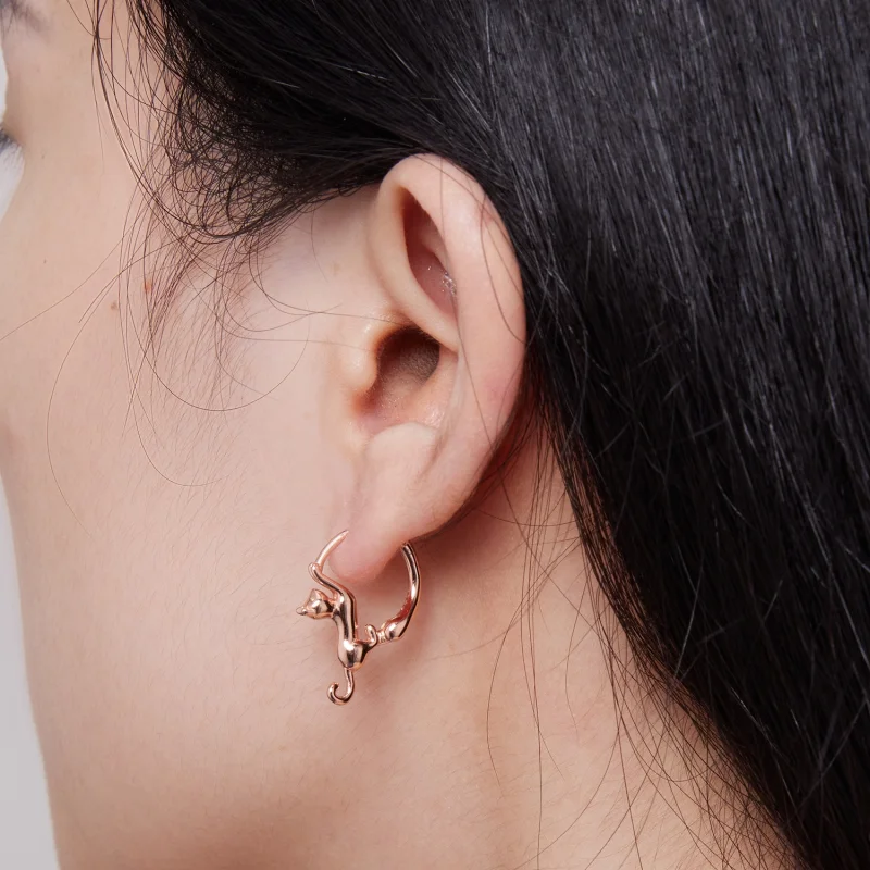 (imagem para) Brincos Argola Estilo Pandora com Gato - SCE1488-LC - Visualizar 7