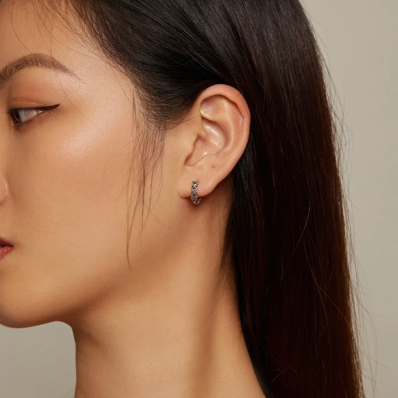 (imagem para) Brincos Argola Estilo Pandora em Formato de Coração - SCE1613 - Visualizar 5