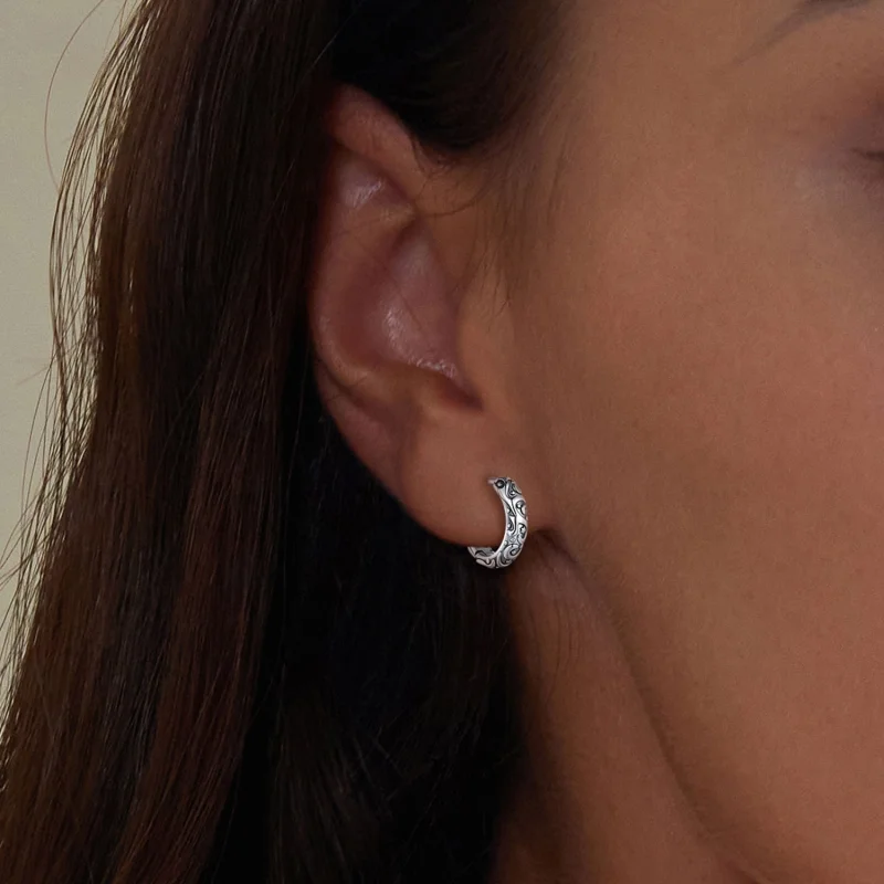 (imagem para) Brincos de Arco com Padrão Retrô Estilo Pandora - SCE1659 - Visualizar 5