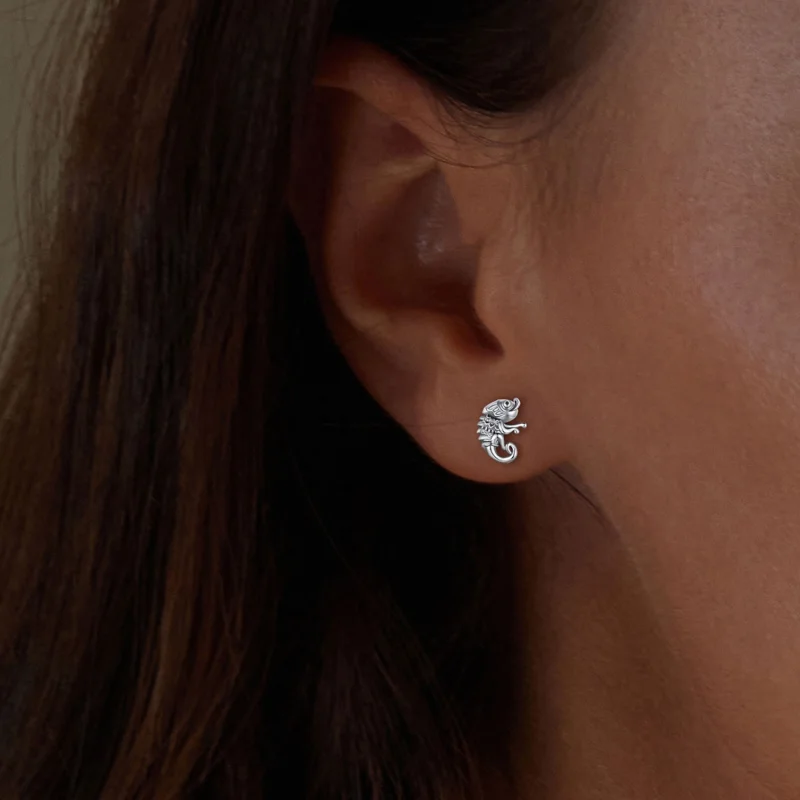 (imagem para) Brincos de Argola Camaleão Estilo Pandora - SCE1661 - Visualizar 5