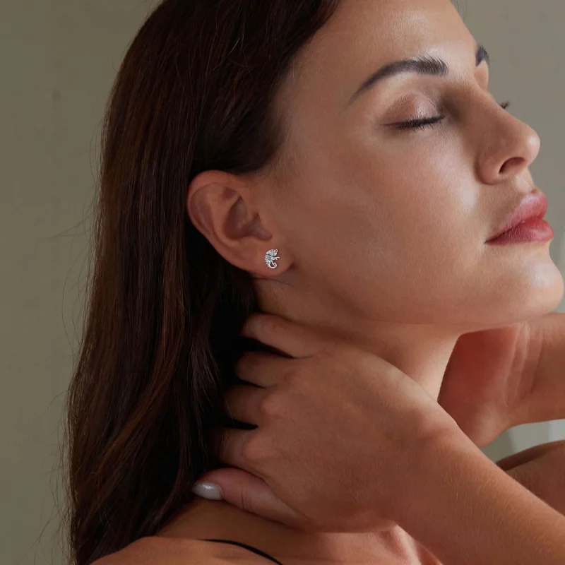 (imagem para) Brincos de Argola Camaleão Estilo Pandora - SCE1661 - Visualizar 6