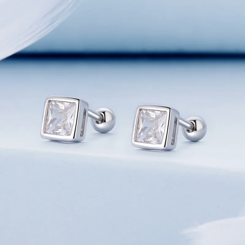 (imagem para) Brincos de Argola com Zircônia Estilo Princesa Pandora - BSE885-L - Visualizar 2