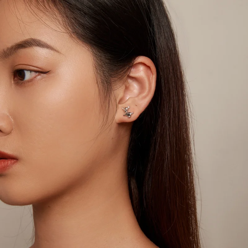 (imagem para) Brincos de Argola Estilo Pandora Chihuahua - SCE1620 - Visualizar 6