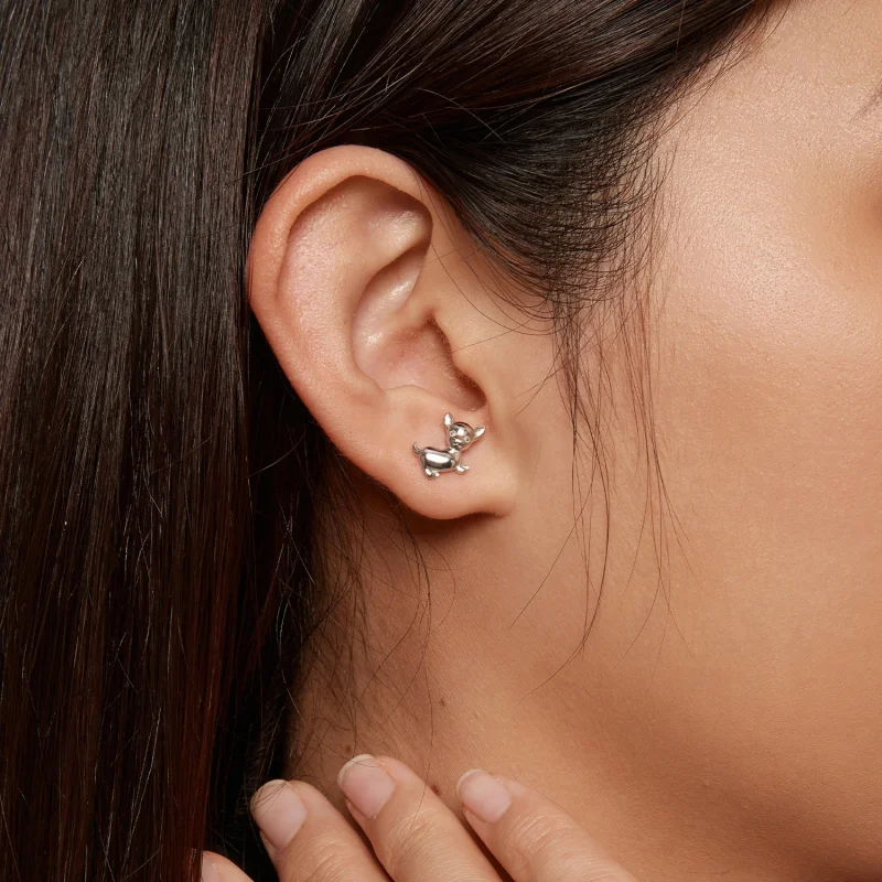 (imagem para) Brincos de Argola Estilo Pandora Chihuahua - SCE1620 - Visualizar 7