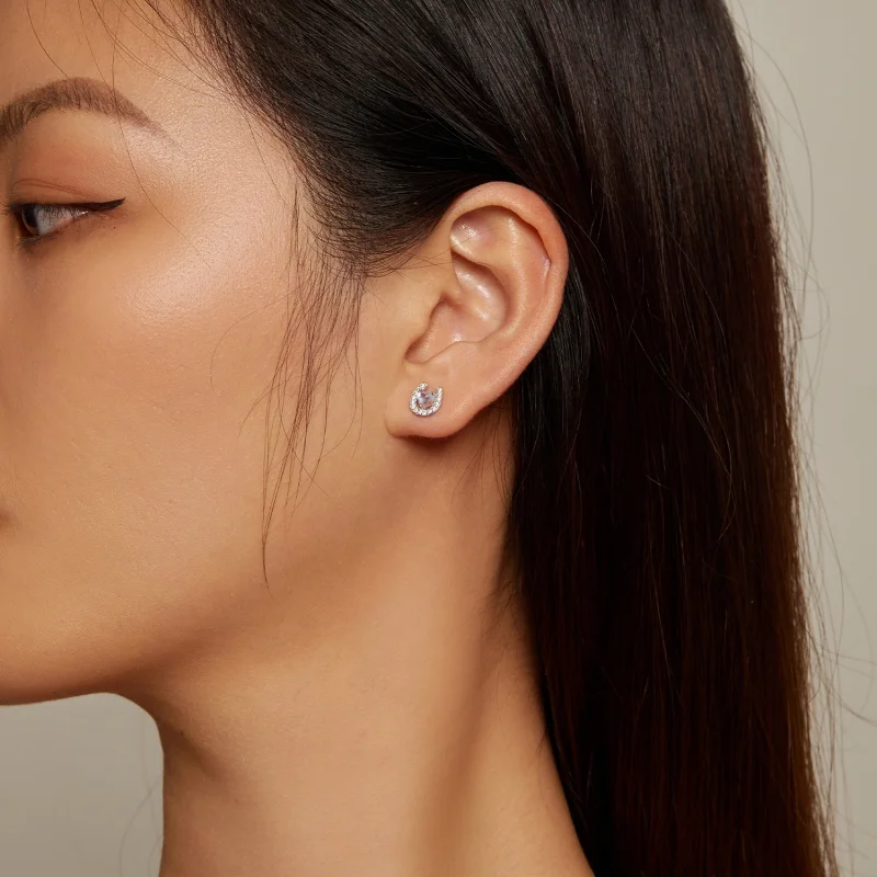 (imagem para) Brincos de Plug Redondo Ferradura Estilo Pandora - SCE1612 - Visualizar 5