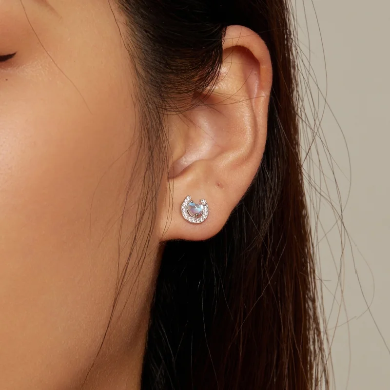 (imagem para) Brincos de Plug Redondo Ferradura Estilo Pandora - SCE1612 - Visualizar 7