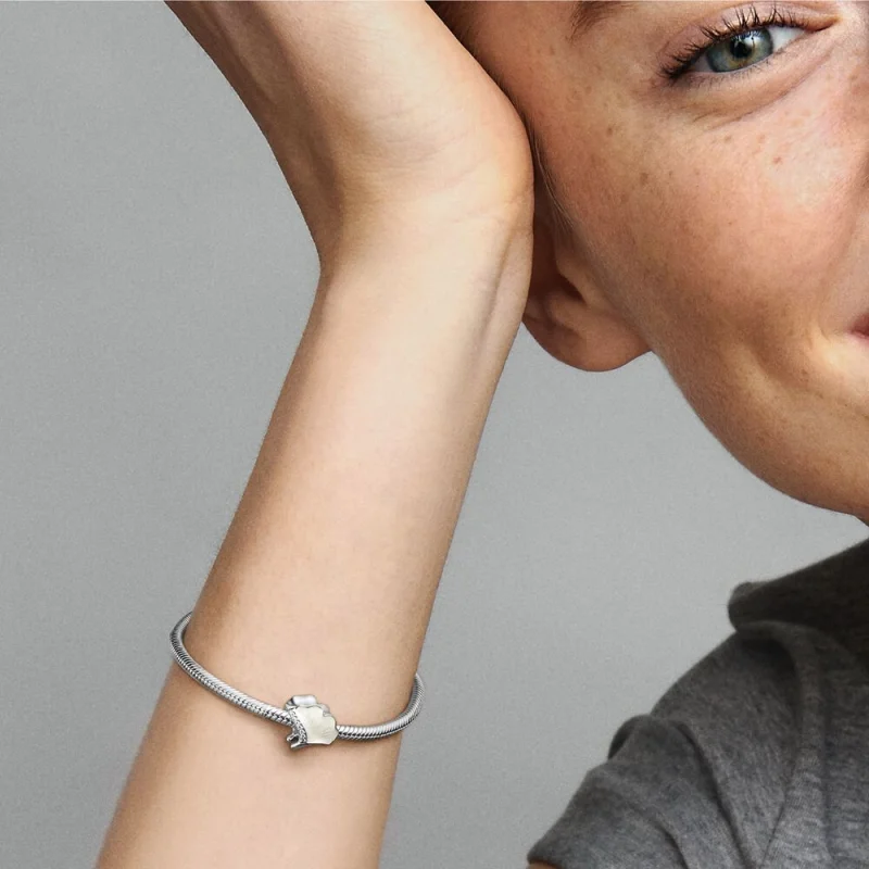 (imagem para) Pingente Pandora Ginkgo em prata esterlina - 792430C01 - Visualizar 6