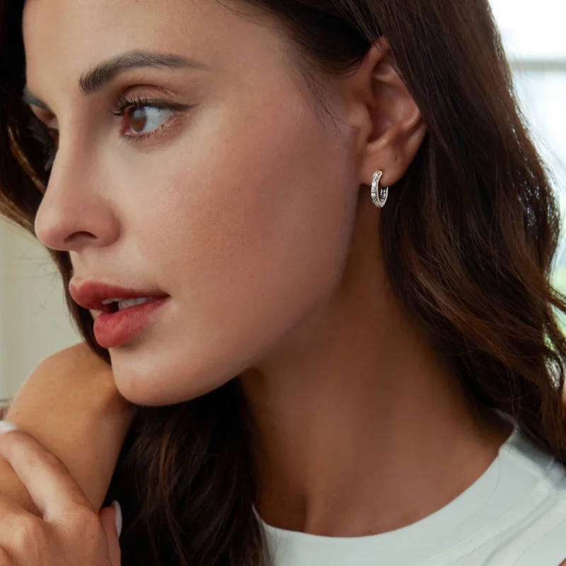 (imagem para) Brincos com Padrão Retrô Estilo PANDORA - SCE1701 - Visualizar 6